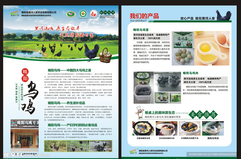 乌鸡单页