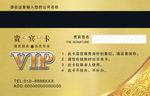 高档金卡 金卡模板 VIP卡
