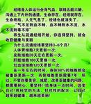 经络说明