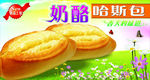 哈斯包广告