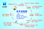 洗手流程图