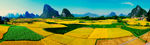 美丽田地山林风景