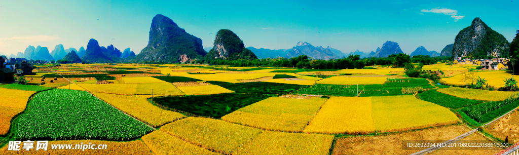 美丽田地山林风景