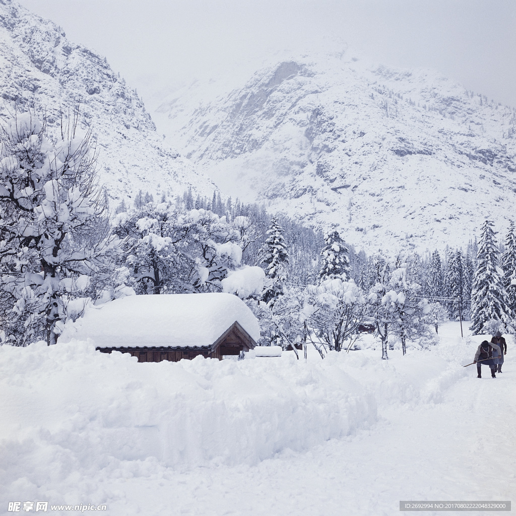 唯美雪山山林美景