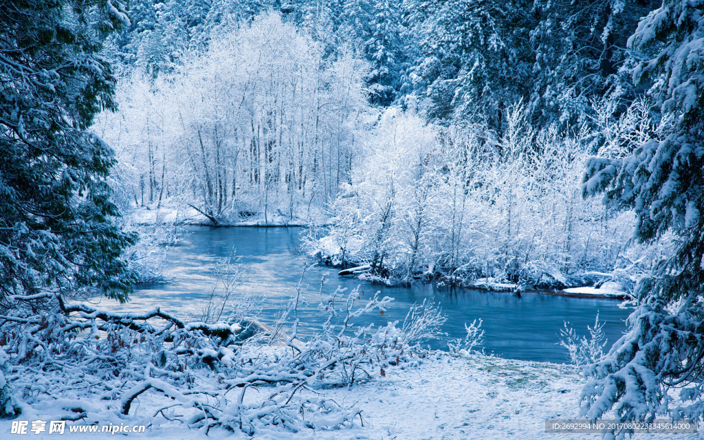 雪后山林美景图片