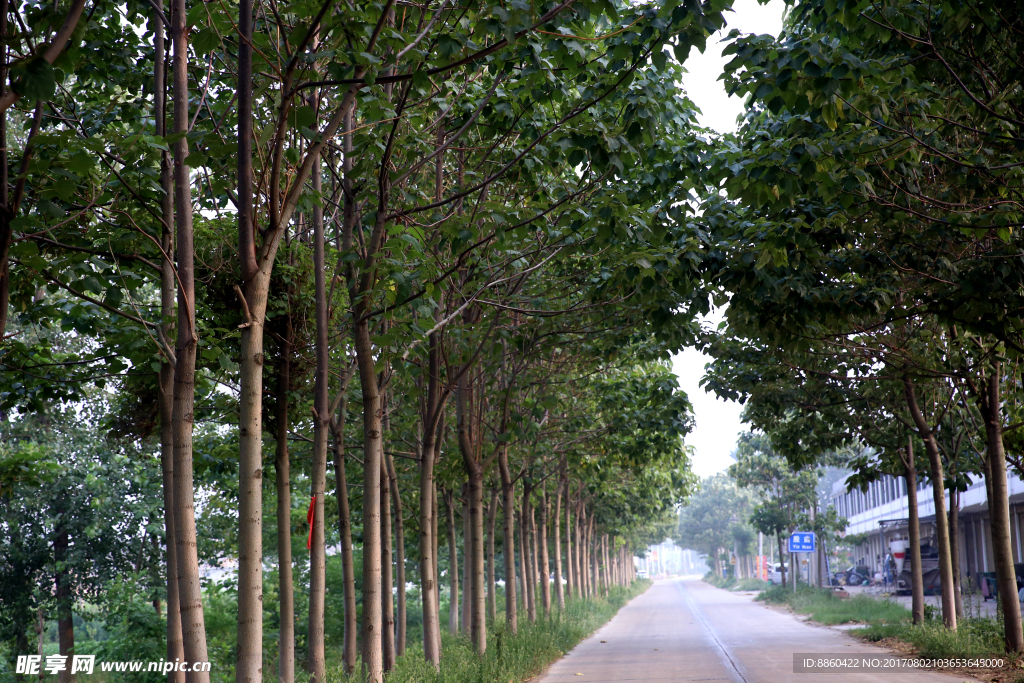 村村通公路