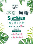盛夏焕新