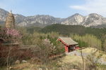嵩岳寺春景