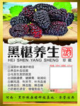 桑椹广告