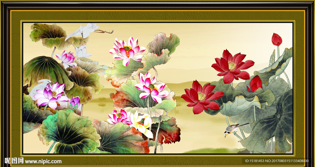 荷花图