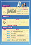 夏令营活动