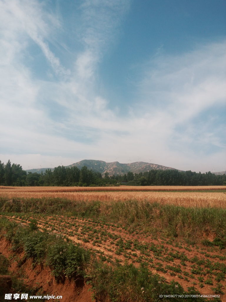 农田景观