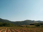农村山区