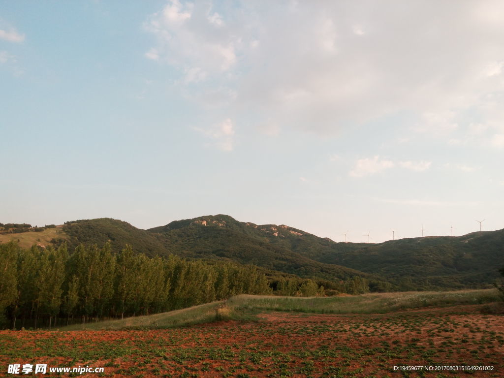 山区农田