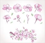 手绘粉色花卉花朵