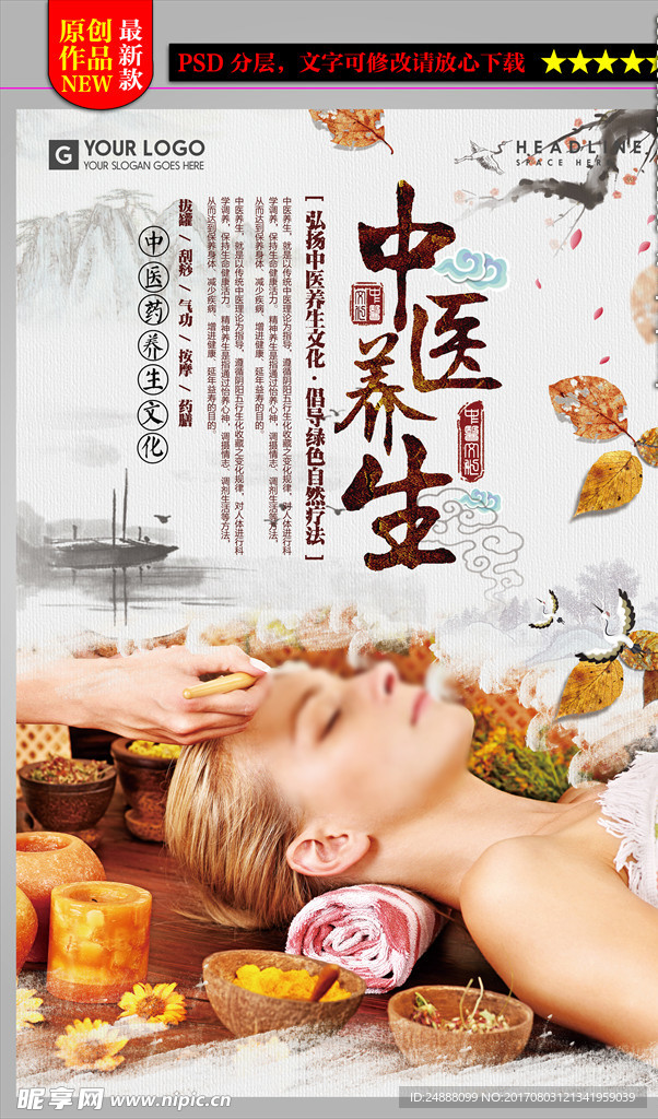 中华风中医养生文化展板设计