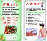 沙棘 海报