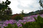 宝鸡市代家湾生态公园
