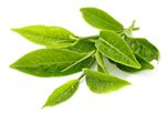 茶叶