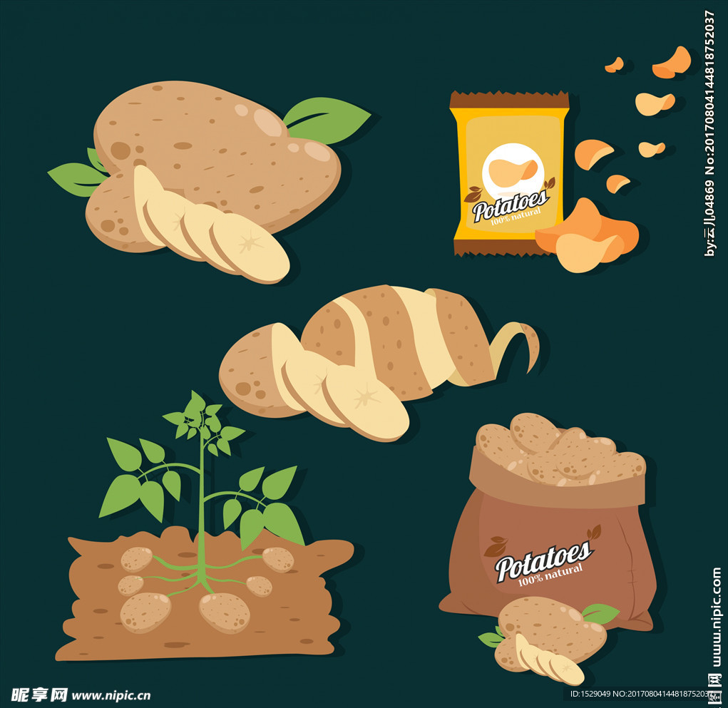 土豆