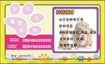 宠物诊所广告
