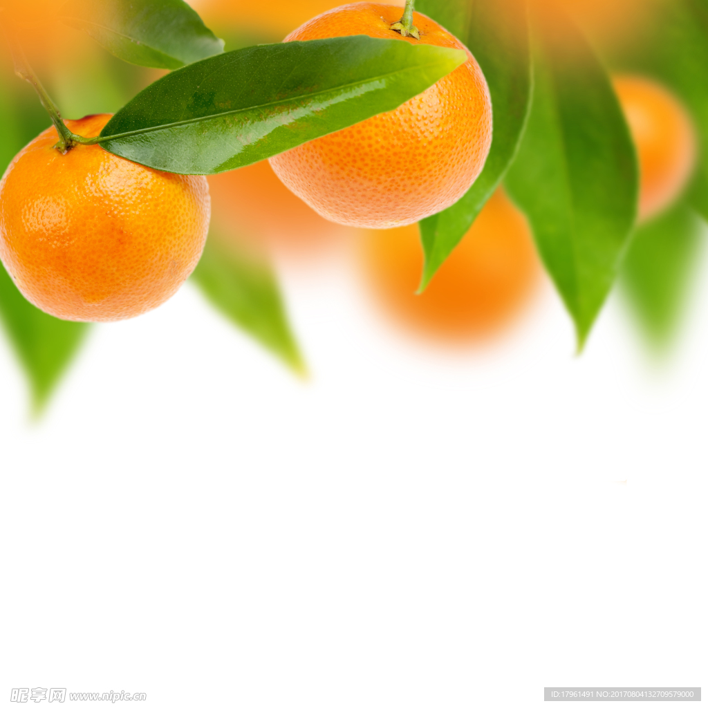 橘子