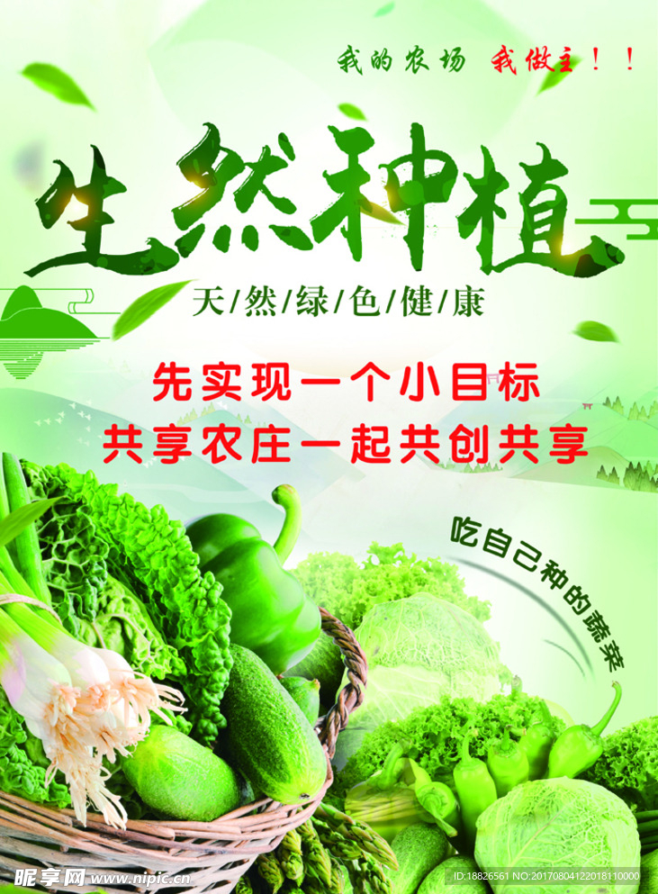 蔬菜海报图片