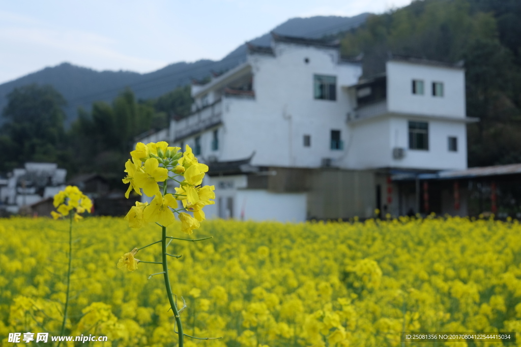 庆源古村