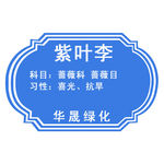 树木小标牌