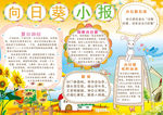 小学生小报