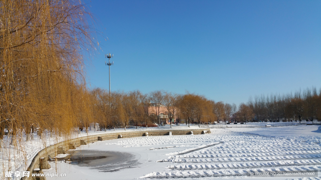 冬天 蓝天 雪