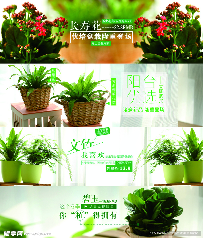 植物盆栽多肉轮播全屏海报