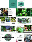绿色环保植物多肉产品画册