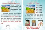 金太阳疼痛贴