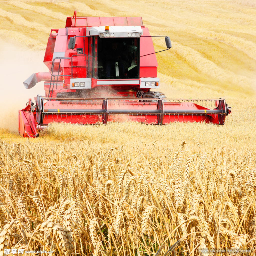 红色收割机正在收割小麦