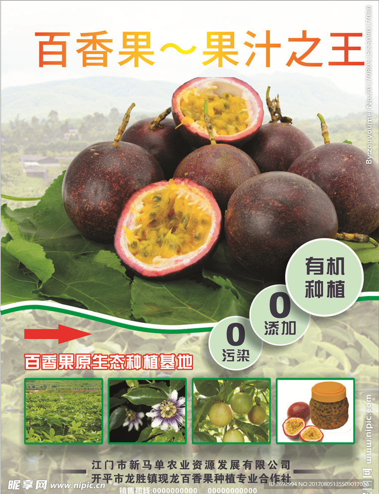 百香果传单