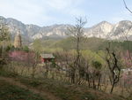 嵩岳寺春景