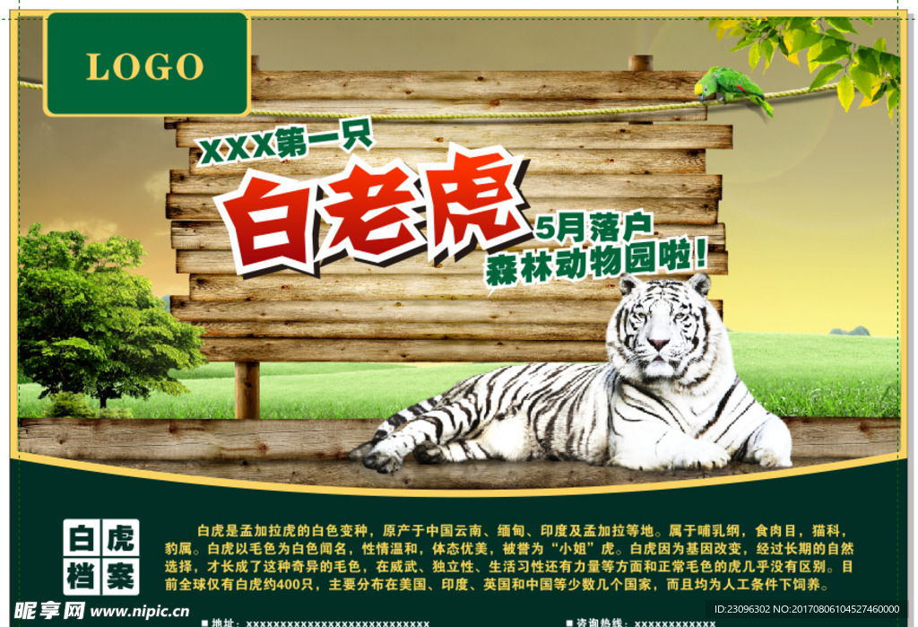 动物展板