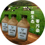 内蒙古酸奶