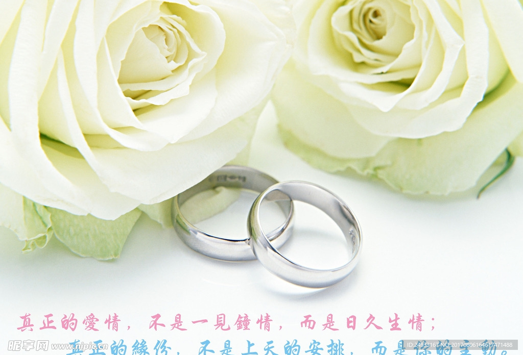 婚庆素材