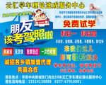 驾校招生考驾照啦海报设计图片