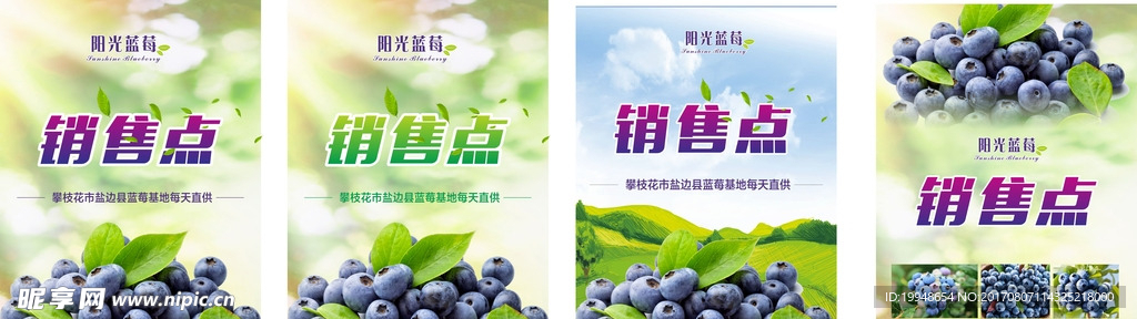 蓝莓海报
