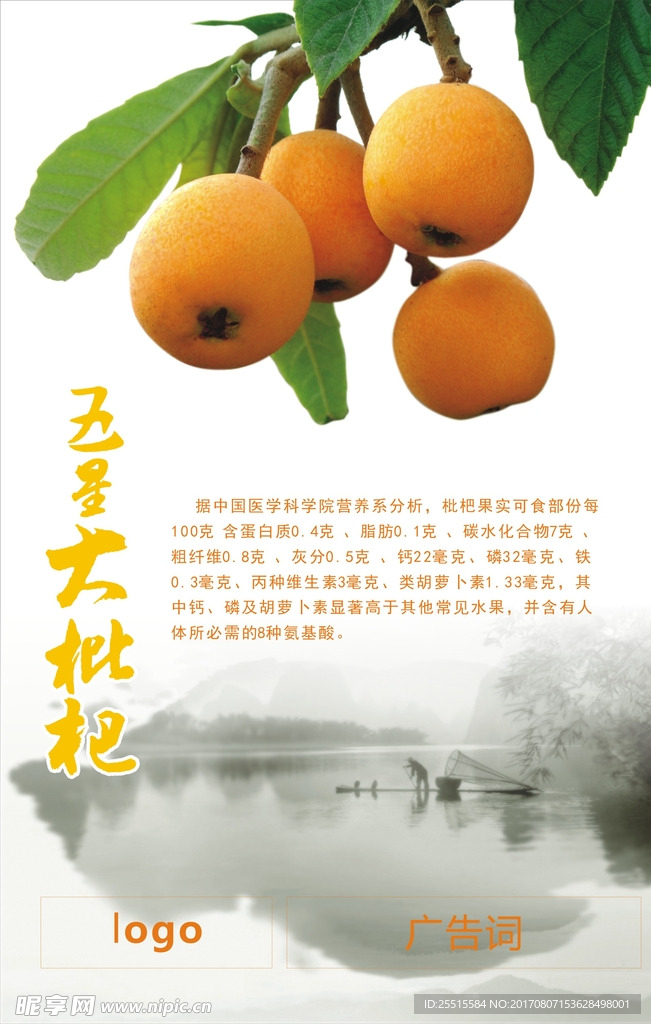 枇杷