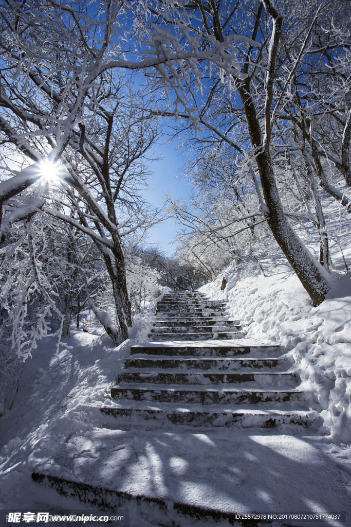 雪景