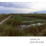 赏花观海