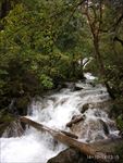 山水