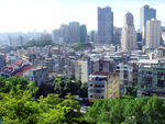 澳门风光