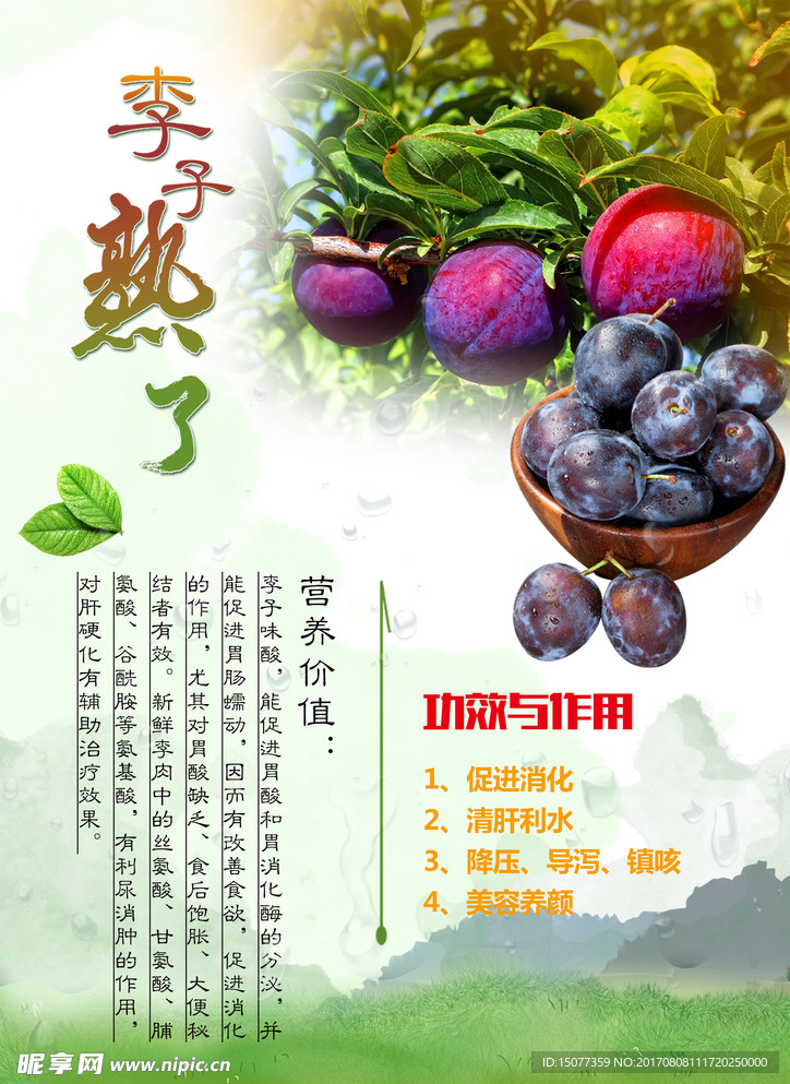 李子
