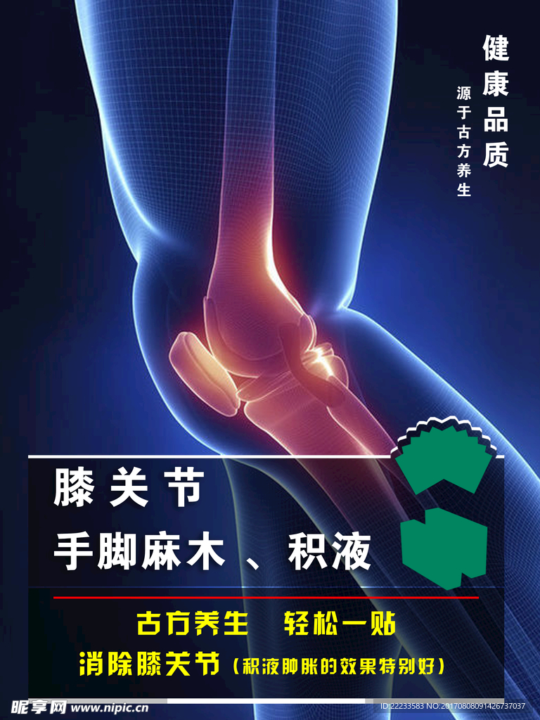膝关节