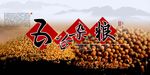 五谷杂粮门头海报设计